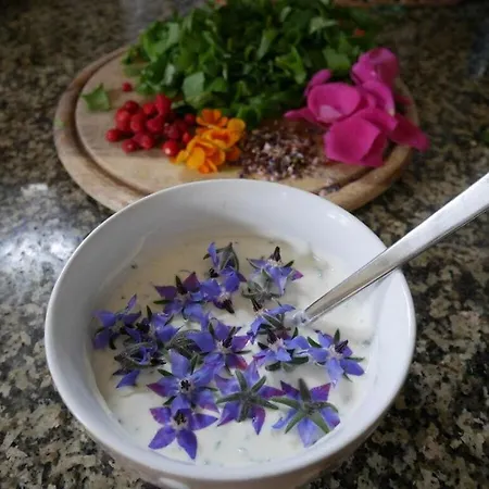 Apartment Holiday Wellness & Relaxation Wunsiedel