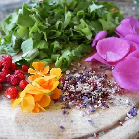 Apartment Holiday Wellness & Relaxation *